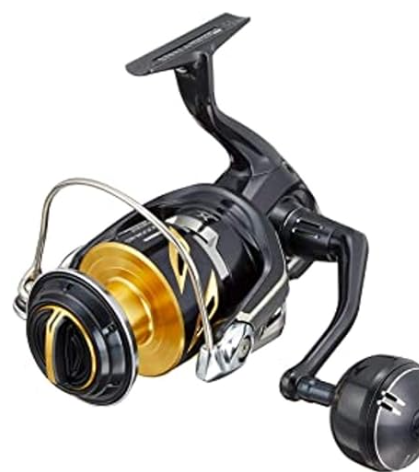 Shimano 19 StellaSW 8000PG Jigging Model