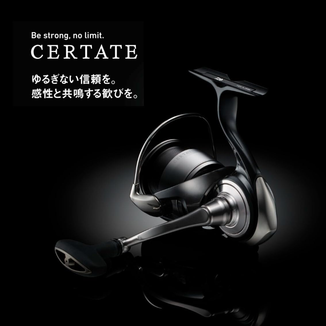 Daiwa 24 Celtate Spinning Reel