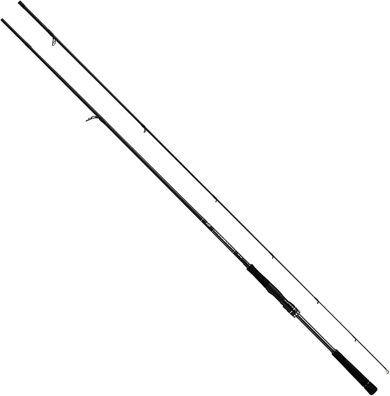 Daiwa AGS 21 Sea Bass Rod 93M